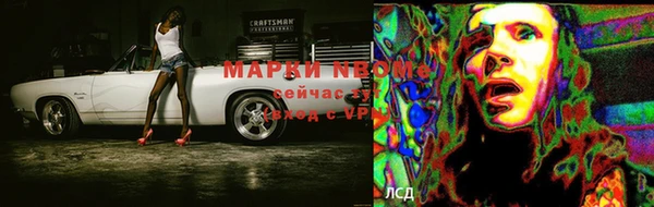 индика Бугульма
