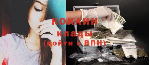 индика Бугульма