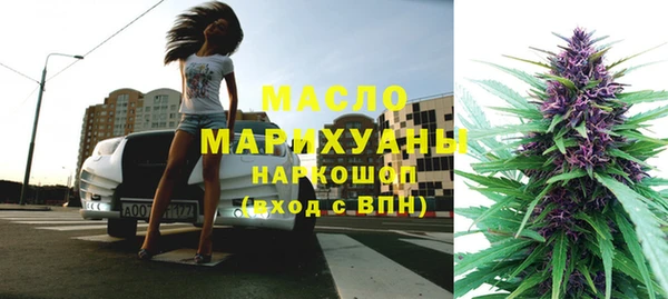 индика Бугульма