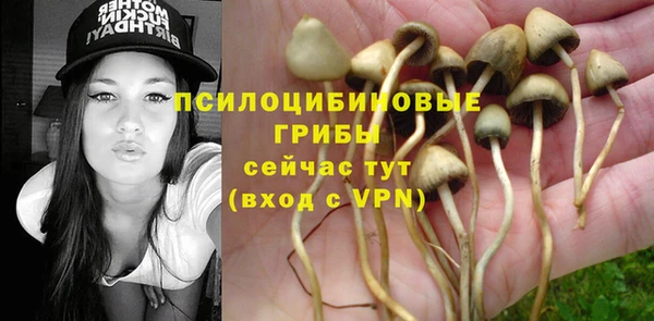 гашиш Бородино