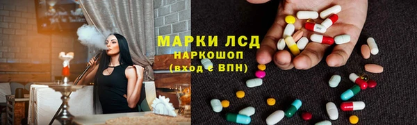 стаф Сатка