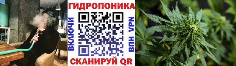 Марихуана марихуана  hydra зеркало  Глазов 